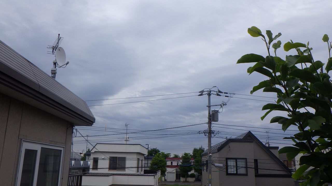台風からも梅雨前線からも遠く離れて_c0025115_21001643.jpg