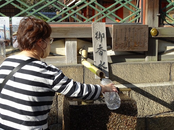 御香宮神社の桜_b0299042_15415648.jpg