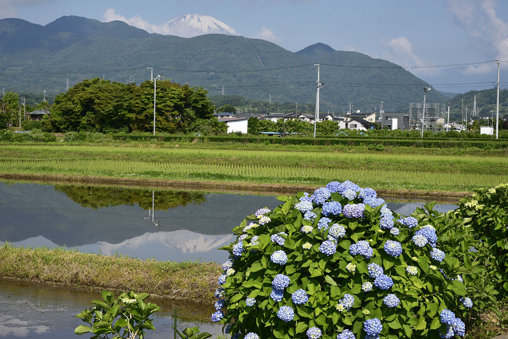 5月の想い出Ⅰ_e0367330_04274306.jpg