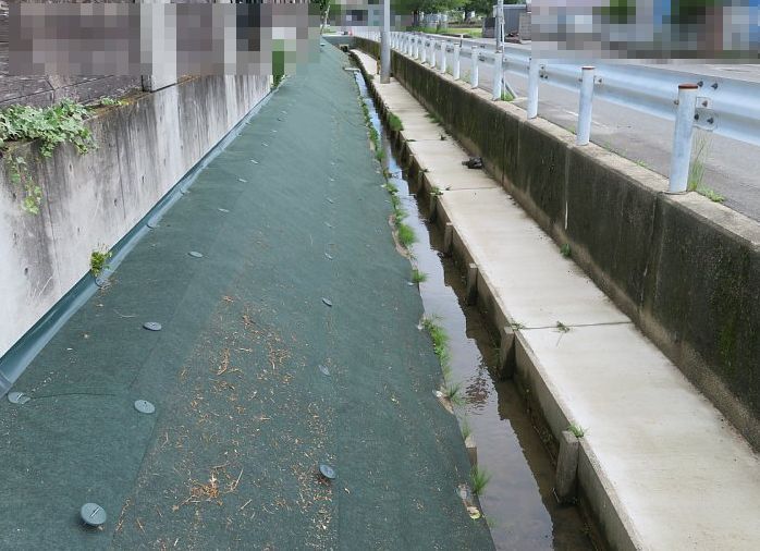 2023年6月3日　大雨と強風  (´*ω*｀)_b0341140_18574501.jpg