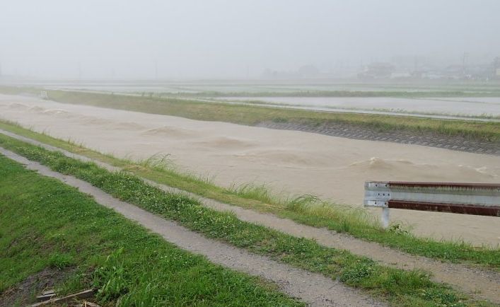 2023年6月3日　大雨と強風  (´*ω*｀)_b0341140_19011321.jpg