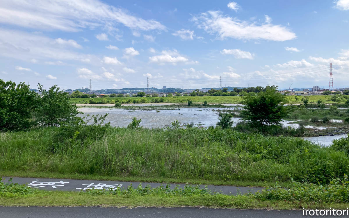 昨夜は土砂降りでした。　　（セッカ）　　2023/06/03_d0146592_22133345.jpg