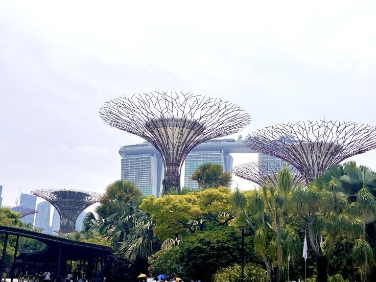 Gardens by the Bay；ドームの植物園だけじゃない人口のジャングル！_c0212604_07291346.jpeg