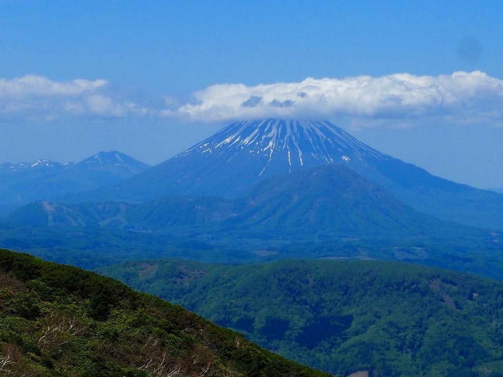 徳舜瞥山からホロホロ山へ、2023.6.1_f0138096_17401507.jpg