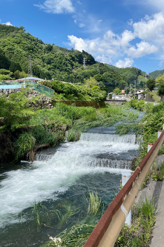 入梅前に雛鶴峠へ行っておく 2023年6月4日_d0123571_15053542.jpeg