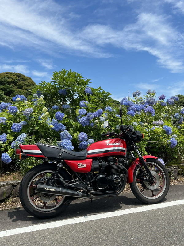 梅雨の合間のスカイブルー_d0052327_10364807.jpg