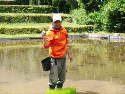 米作りの挑戦(2023)　田植え　今年は6月5日に田植えを終えました！昨年より5日早い田植えです！(前編)_a0254656_13213623.jpg