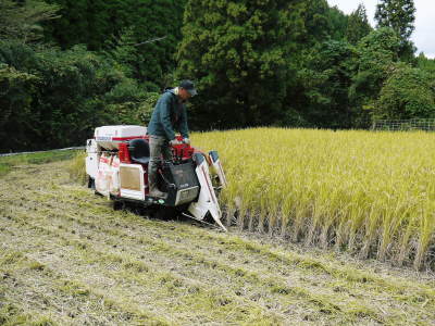米作りの挑戦(2023)　田植え　今年は6月5日に田植えを終えました！昨年より5日早い田植えです！(前編)_a0254656_13430527.jpg