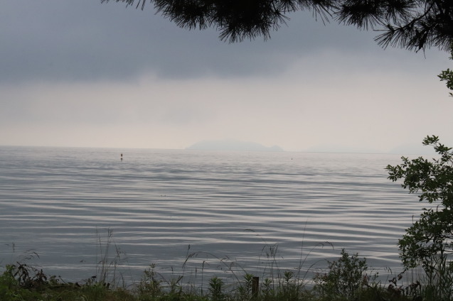 梅雨晴れの和邇浜散歩_d0340845_11222140.jpg