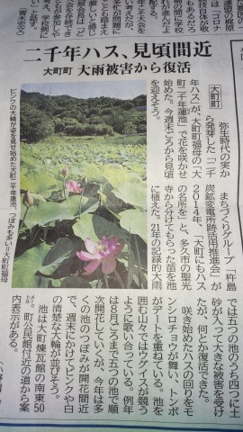 佐賀新聞６月９日掲載していただきました。_f0353242_20185337.jpg