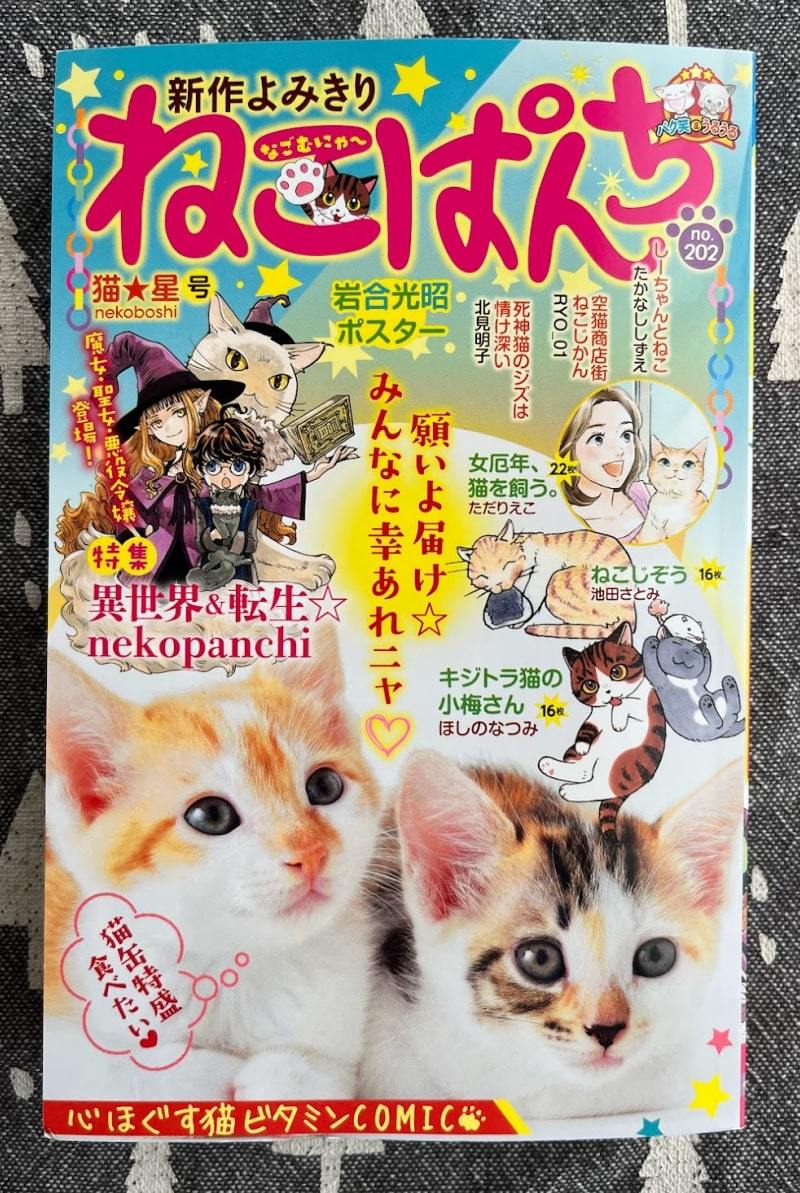 ねこぱんち「猫と魔女の魔術書店」_d0118933_15365747.jpg