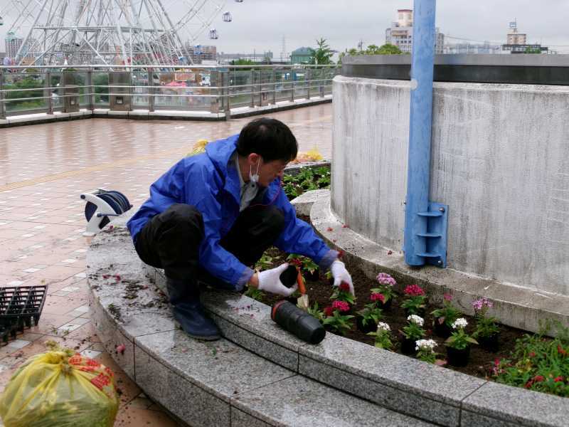 名古屋港水族館前花壇の植栽R5.6.12_d0338682_07582331.jpg