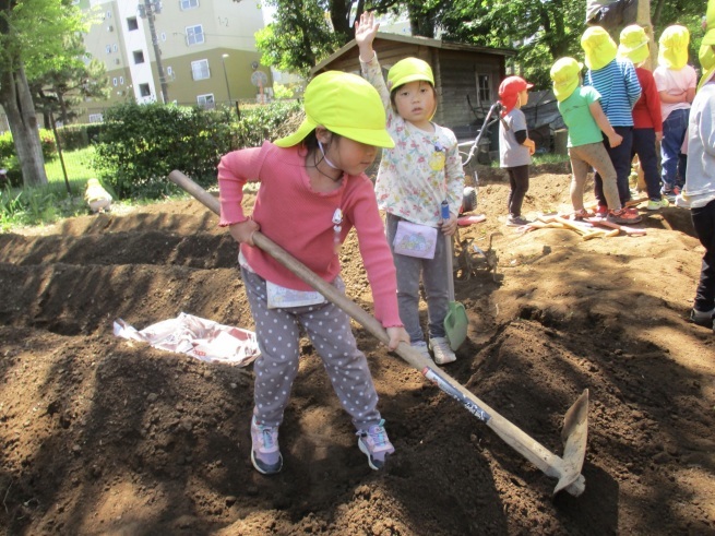 さつま芋の苗植えの前に…_f0334882_15491428.jpeg