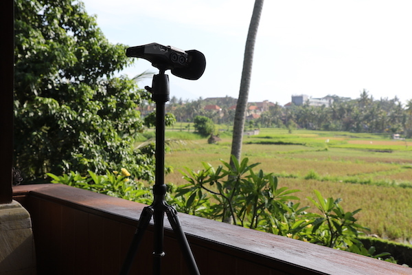 Sounds in Bali - Chasing Walter Spies : Part 1_d0010432_18581866.jpg