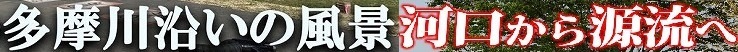 ＜2024年3月＞多摩川・遡上探訪記③：池上本門寺～ガス橋周辺の見所を周遊_c0119160_15105577.jpg