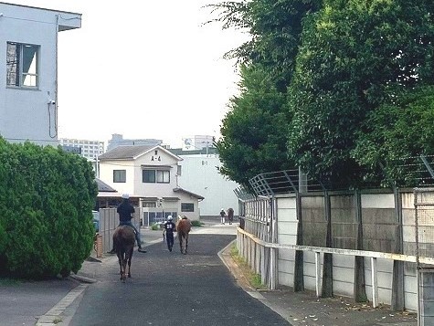 ＜2023年6月＞多摩川・遡上探訪記：①（羽田・川崎大師・六郷橋周辺）_c0119160_17343771.jpg