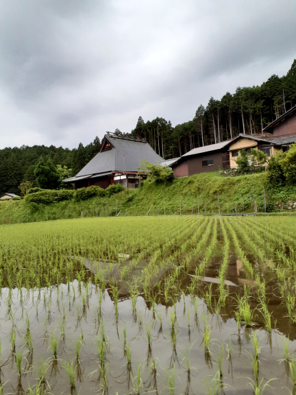 京都へ　その２_c0047919_19315504.jpg