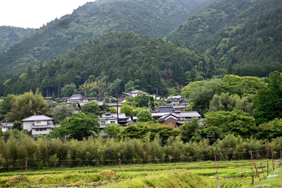 京都へ　その２_c0047919_19321882.jpg