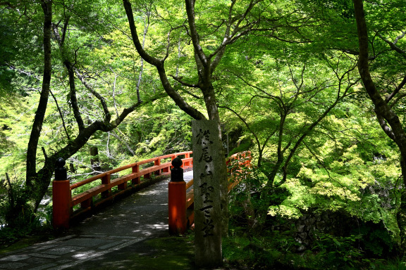 京都へ　その３_c0047919_19441398.jpg