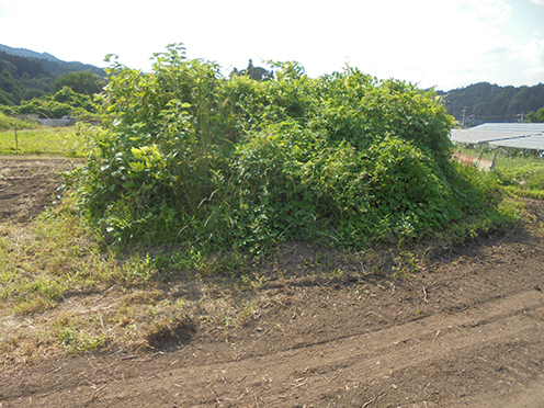 2023.6/25群馬県安中市の古墳・細野7～九十九23・その2_d0355894_09010195.jpg