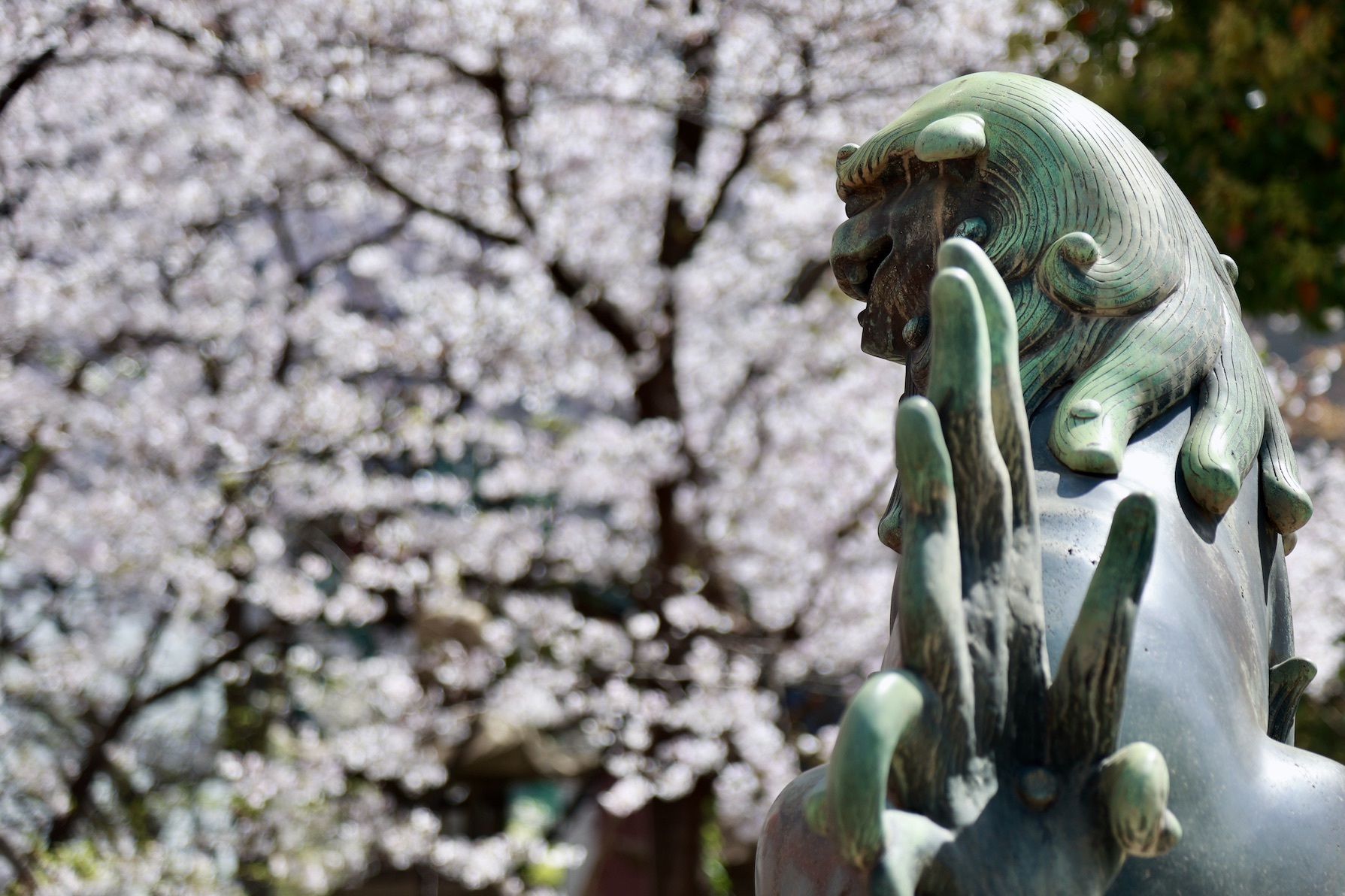 御霊神社参拝　2023.3.29　Sanpo 820_e0237623_07174360.jpg