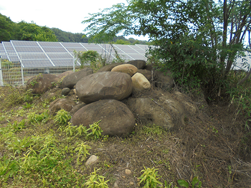 2023.6/30群馬県安中市・西横野村古墳群・その2_d0355894_07471984.jpg