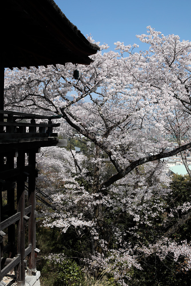 三井寺（園城寺）　観月舞台脇より_d0011713_10052555.jpg