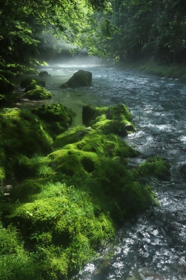 岐阜県　山県市　円原川　　２０２３．０６．２３_f0148913_21120893.jpg