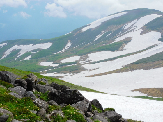 月山　今年初の頂上小屋泊まり　後半　7/1_f0118332_00464712.jpg