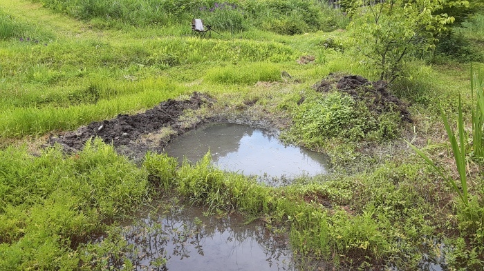 小さな水辺をつくる_a0122264_18512901.jpg