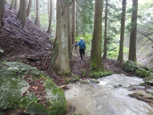 名渓の陰に隠れる秀渓…粕川北谷（大岩谷）左俣_c0359615_16233510.jpg