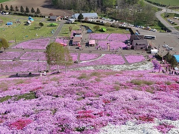 道東旅行/東藻琴芝桜_d0049221_22115731.jpg