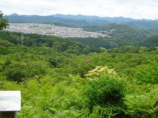 東山　ふれあいの森を歩く！！！_d0048350_13563673.jpg