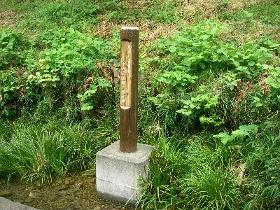 ７月15日(土)　ぶらさかば　日野の緑地をめぐる_f0344405_15194904.jpg