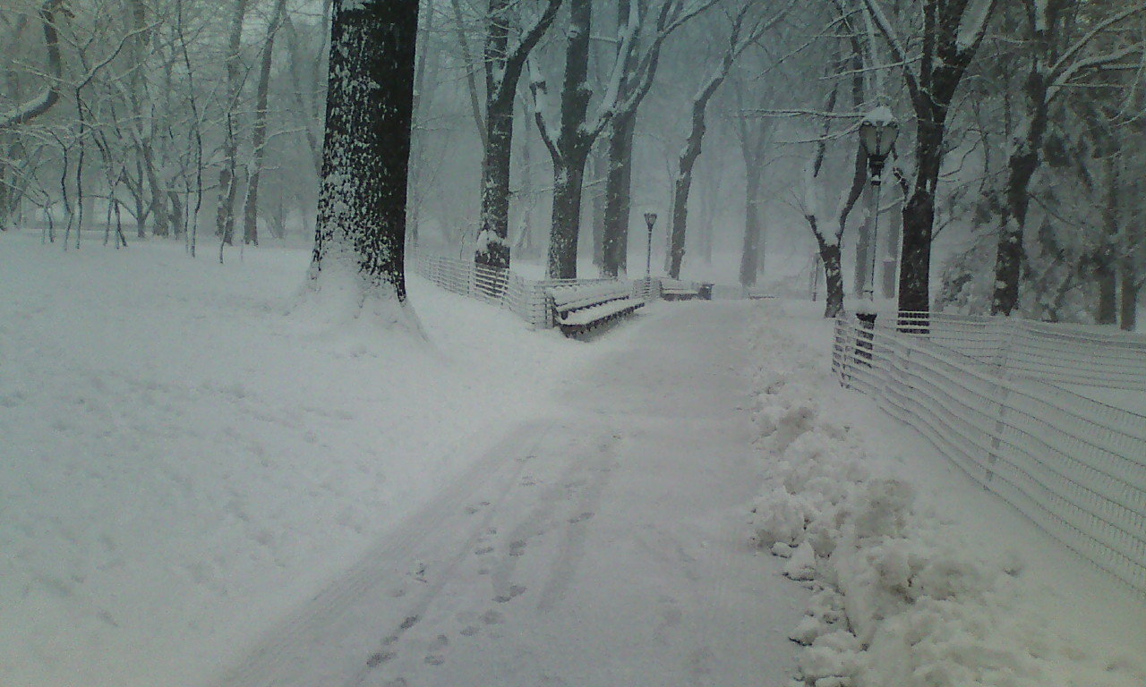 雪の　NY　２００９_c0155326_07533980.jpg