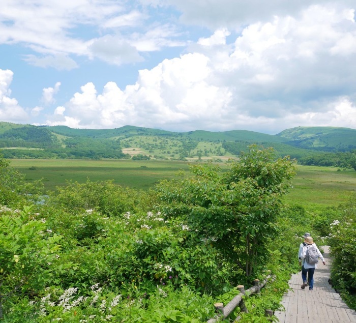 ビーナスライン〜八島ヶ原湿原_d0152818_23460841.jpg