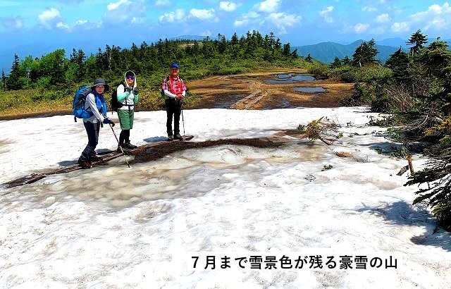 ＜2023年6月下旬＞「檜枝岐温泉」～残雪・池塘の「会津駒・中門岳」登山　_c0119160_19501143.jpg