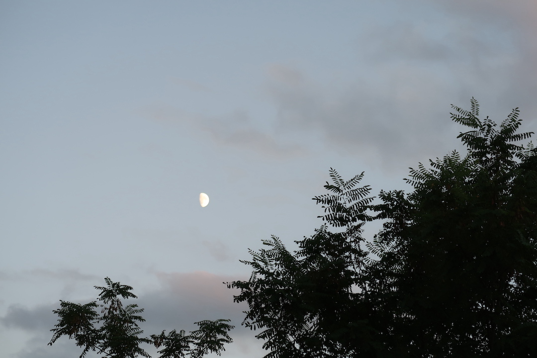 夕どきに月見上げ歩けば蝉しぐれノラニンジン咲き茂るペルージャの道_f0234936_00051930.jpg