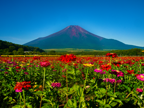 最新富士山の撮影記録_d0229560_21254664.png