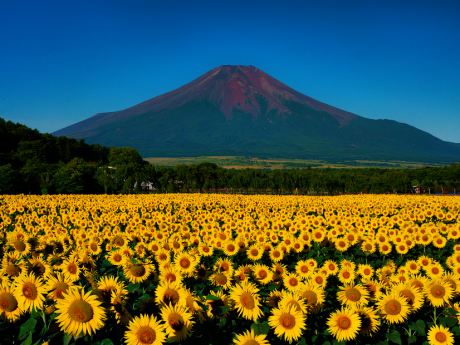 最新富士山の撮影記録_d0229560_21283819.png