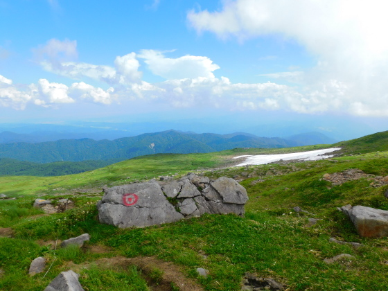 月山で涼んで生き返る　7/27_f0118332_10110167.jpg