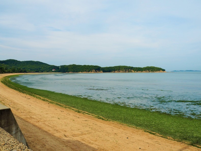 海底から島へつながる砂の浮橋が出現　トンボロ現象_d0394977_02192875.jpg