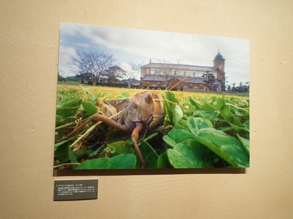 栗林慧先生と「ガハハの会」_b0135573_11044903.jpg