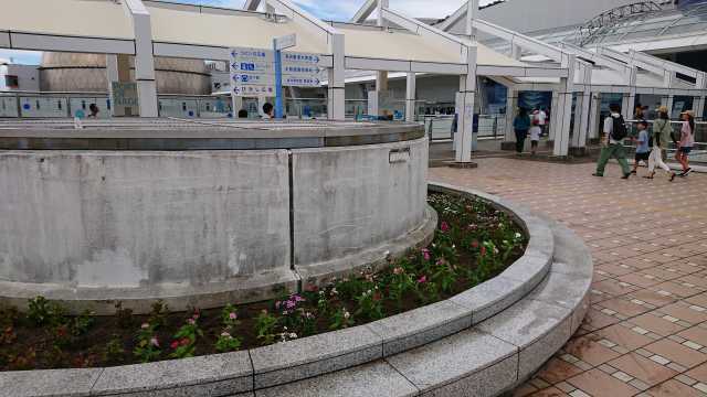名古屋港水族館前花壇の植栽R5.8.8_d0338682_13102153.jpg