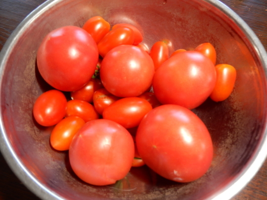 ’２３．８．９（水）昨日はお家トマト料理祭り！_f0060461_10092837.jpg