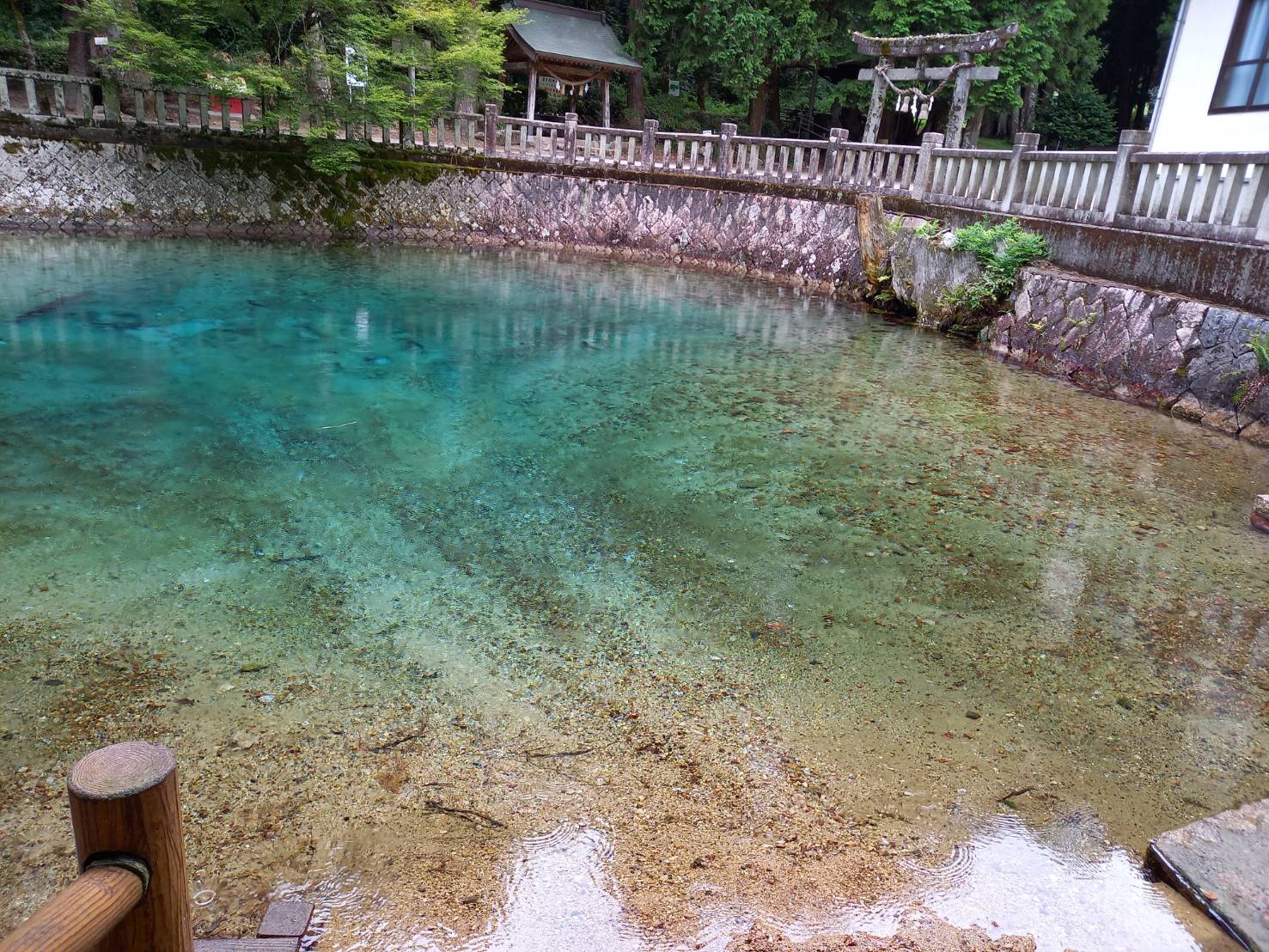 山口県へパワー充電の旅_a0292989_17050174.jpg