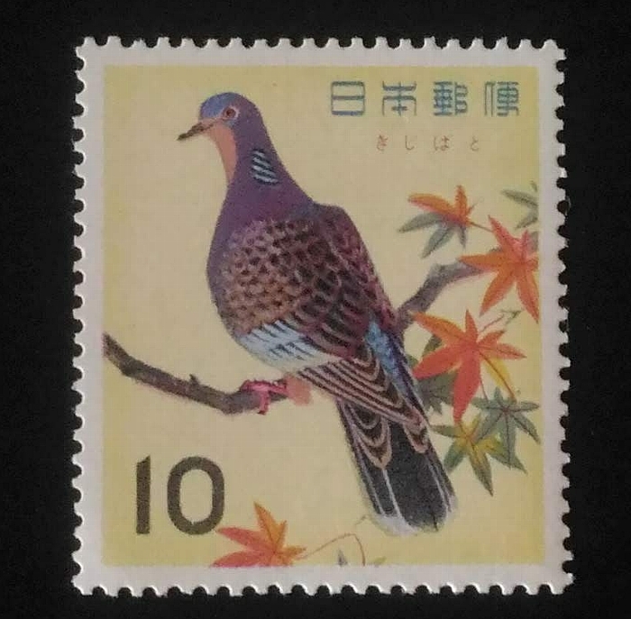 鳥の切手シリーズ３：　キジバト　Bird stamp series 3: Oriental turtle dove_f0105570_10311429.jpg