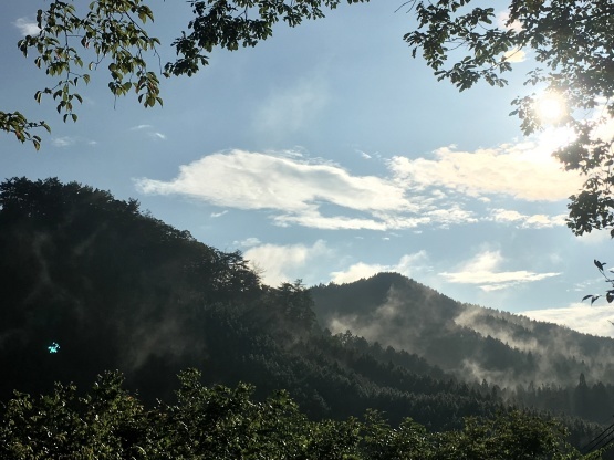 お山の様子／雨上がり_e0295926_11462980.jpg