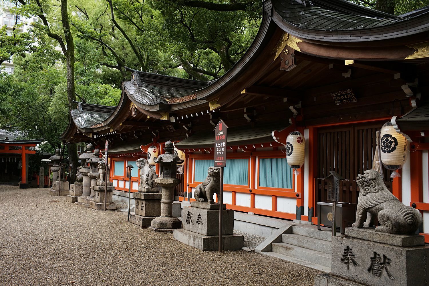 【重要文化財｜杭全神社本殿】　行き方、見学のしかた　（大阪市）_b0212342_19554581.jpg