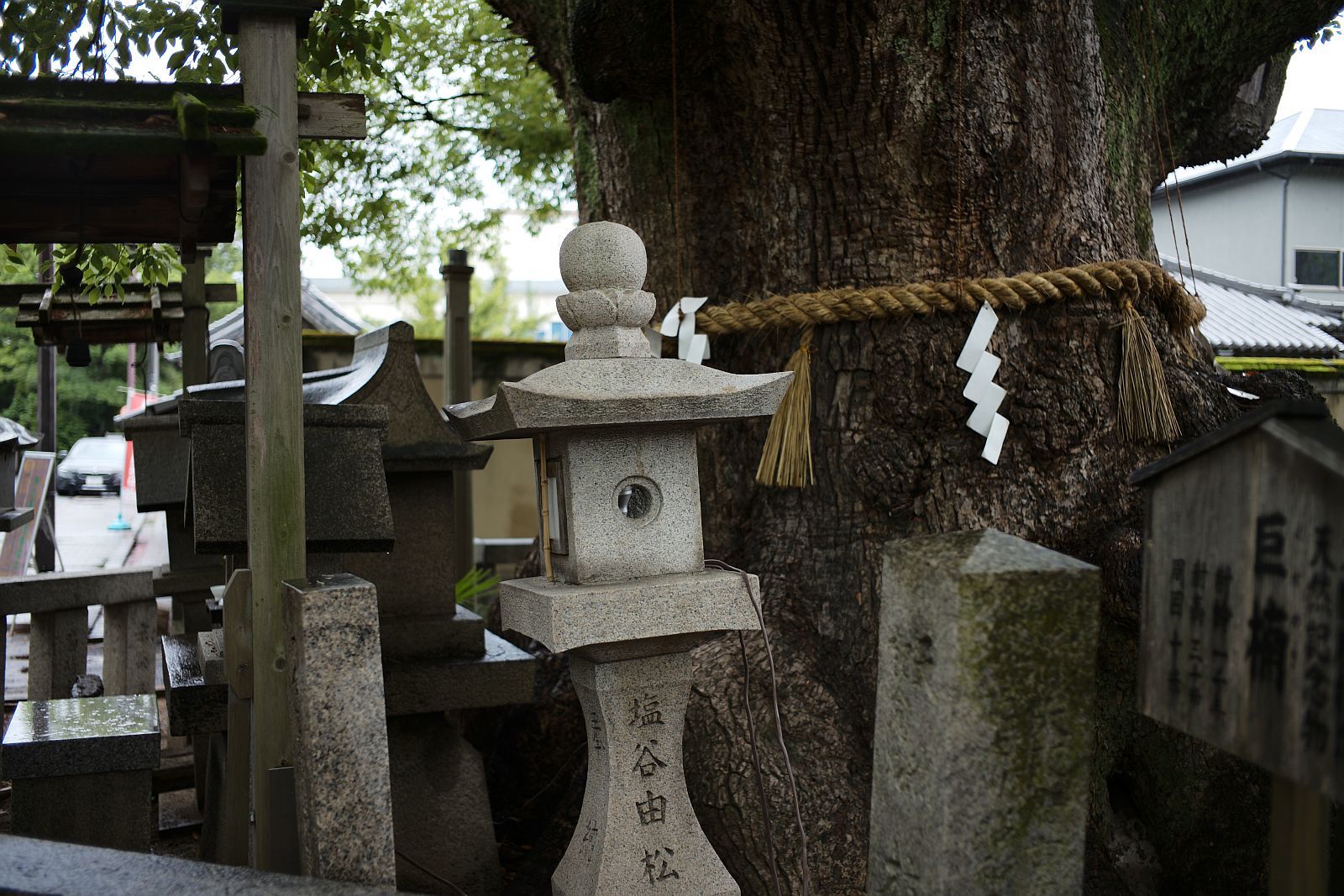 【重要文化財｜杭全神社本殿】　行き方、見学のしかた　（大阪市）_b0212342_20033007.jpg